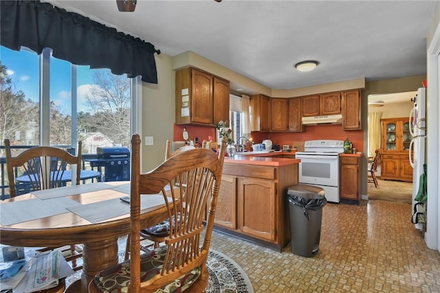 kitchen with a peninsula, white appliances, a wealth of natural light, and under cabinet range hood