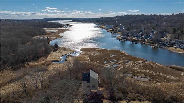 aerial view featuring a water view and a forest view