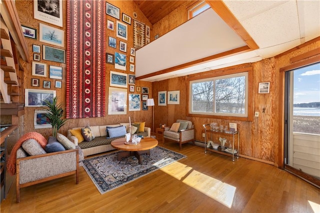 living area with wood walls, plenty of natural light, and wood finished floors