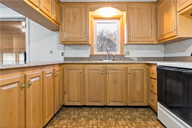 kitchen with a sink, electric range oven, and light stone countertops