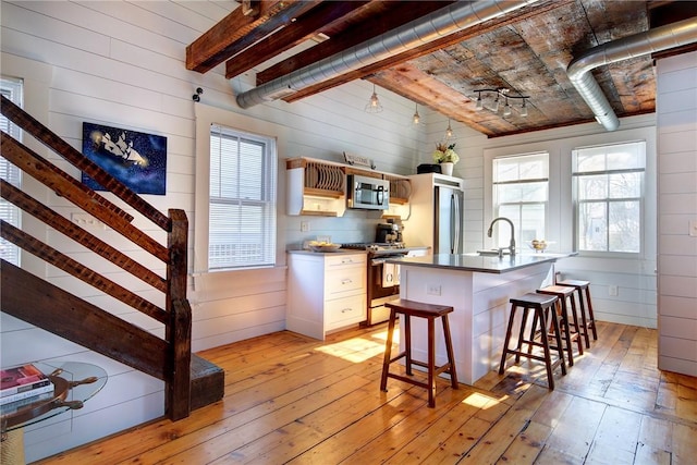 kitchen featuring dark countertops, light wood-style flooring, a wealth of natural light, and stainless steel appliances