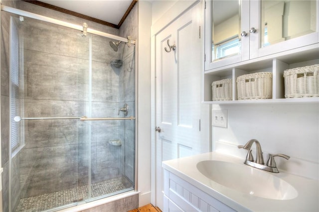 bathroom with a shower stall and a sink