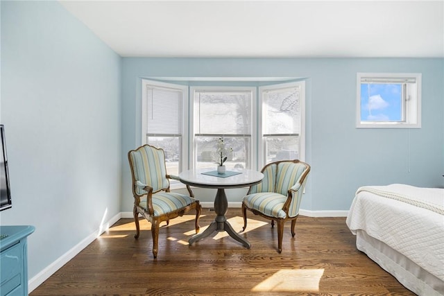 bedroom with multiple windows, baseboards, and wood finished floors