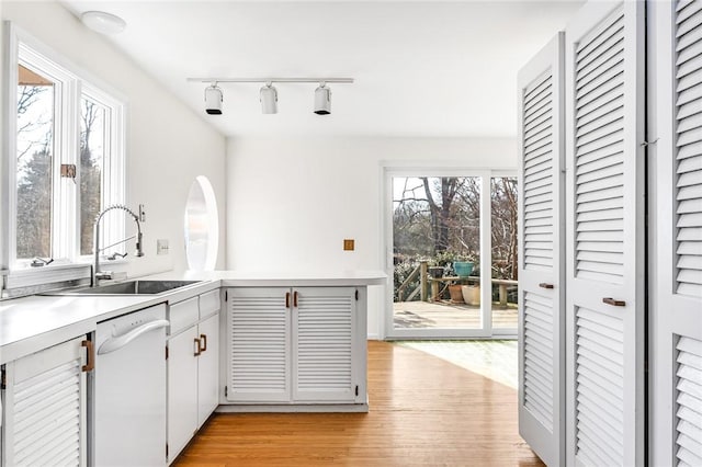 kitchen featuring plenty of natural light, light wood-type flooring, white dishwasher, and a sink