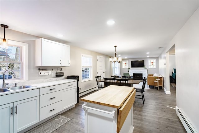 kitchen featuring butcher block countertops, a baseboard radiator, a healthy amount of sunlight, and a sink