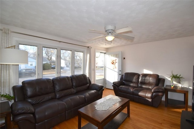 living room with ceiling fan and light wood-style floors