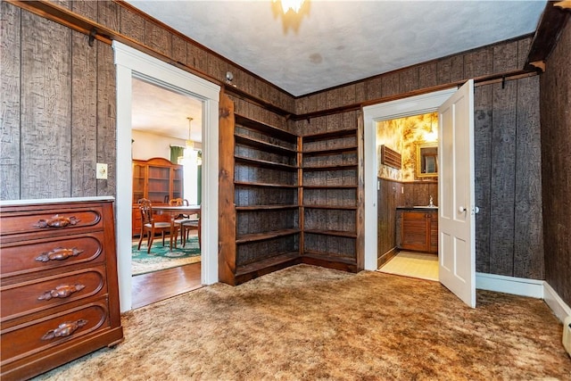 interior space with a baseboard radiator and carpet flooring