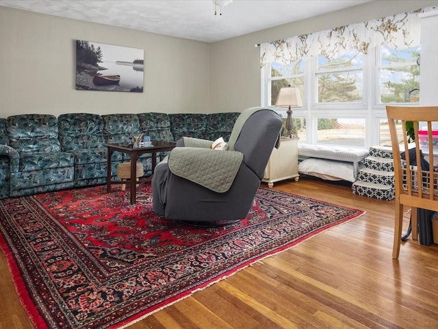 living area featuring wood finished floors