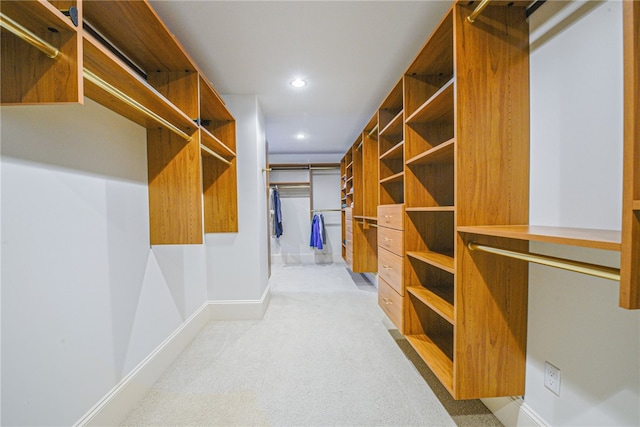 spacious closet with light carpet