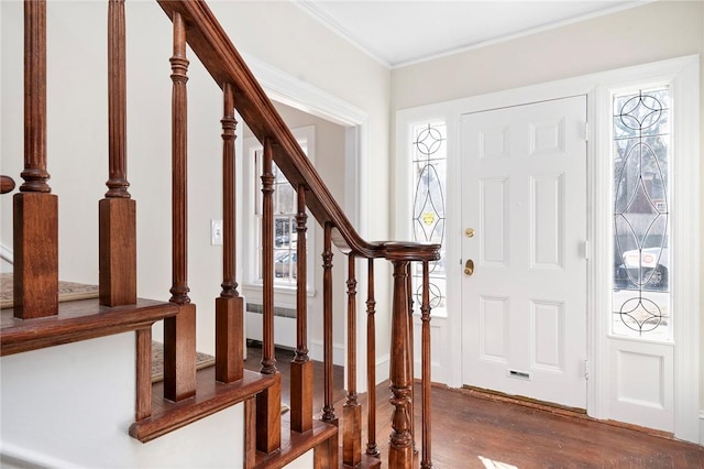 entryway featuring crown molding, stairway, and wood finished floors