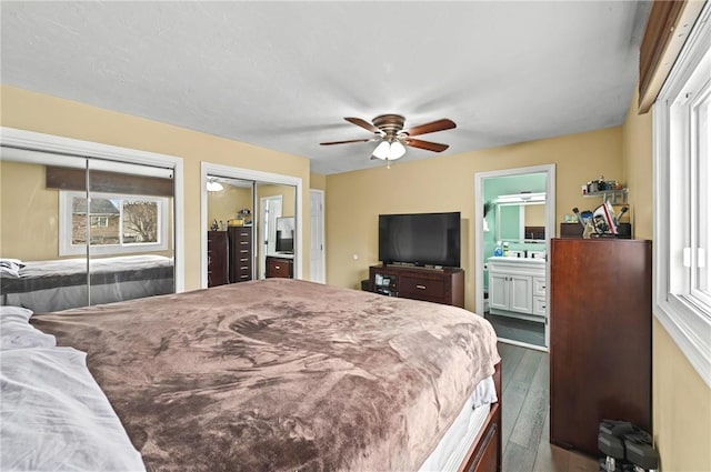 bedroom with a ceiling fan, wood-type flooring, multiple windows, and two closets