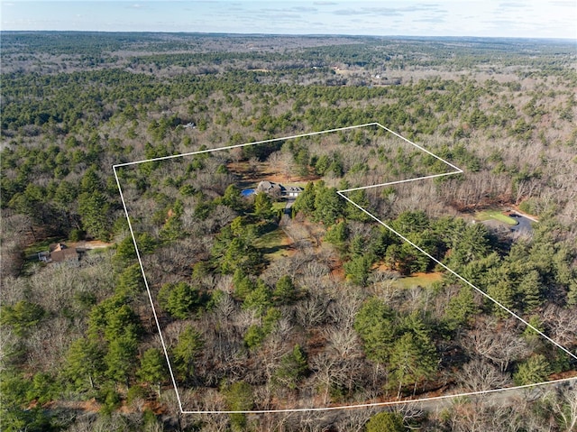 aerial view with a view of trees