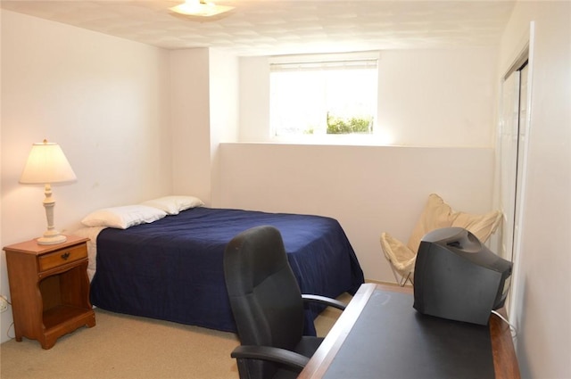 bedroom with a closet and carpet flooring