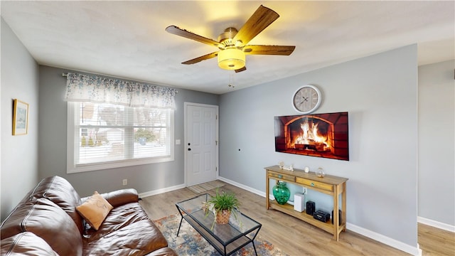 living area featuring ceiling fan, baseboards, and wood finished floors