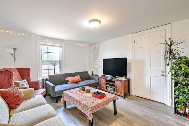 living room featuring light wood-style floors