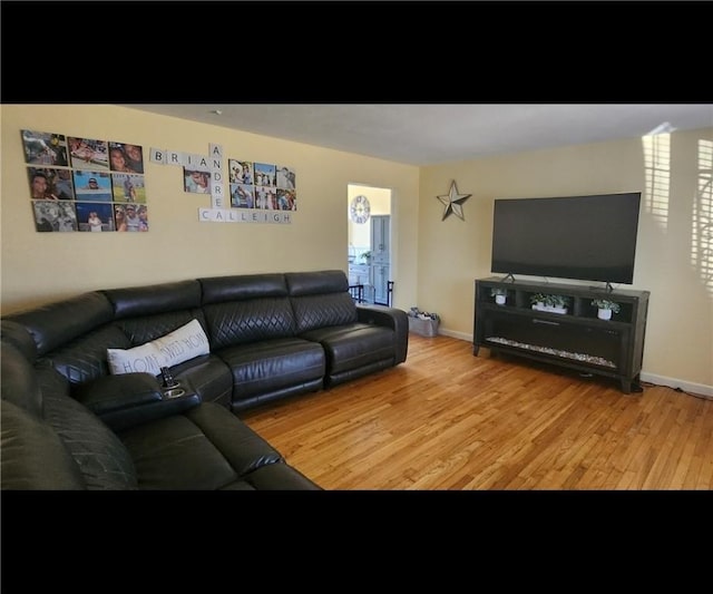 living room with wood finished floors and baseboards