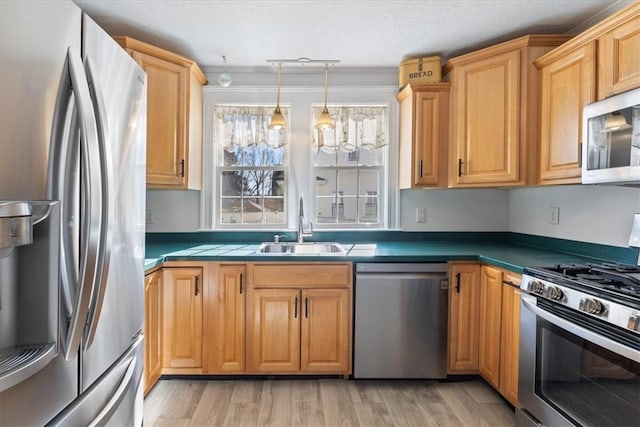 kitchen with stainless steel appliances, a sink, ornamental molding, light wood finished floors, and pendant lighting