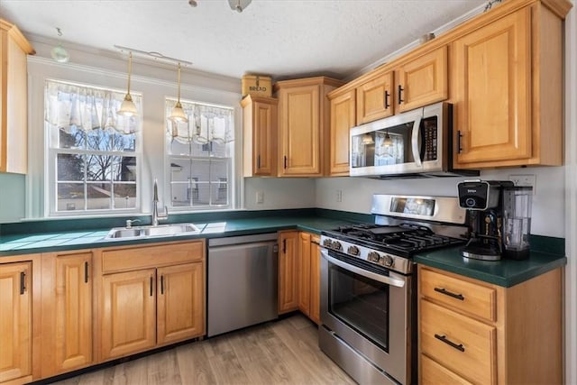 kitchen with a textured ceiling, stainless steel appliances, a sink, light wood finished floors, and dark countertops