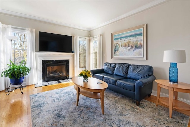 living room with a fireplace, baseboards, crown molding, and wood finished floors