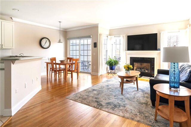 living room featuring light wood finished floors, a fireplace with flush hearth, ornamental molding, and baseboards