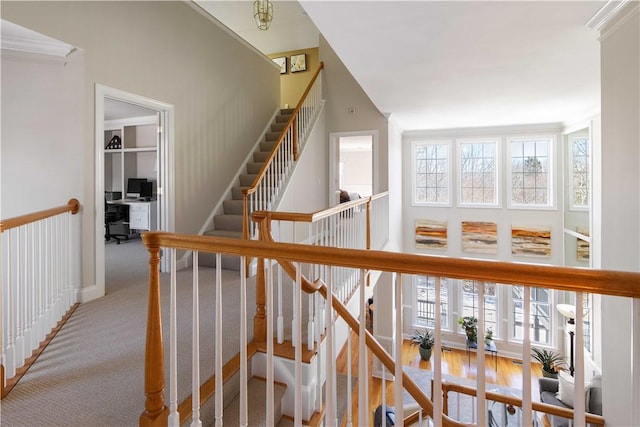 stairway with a high ceiling, carpet, and a wealth of natural light