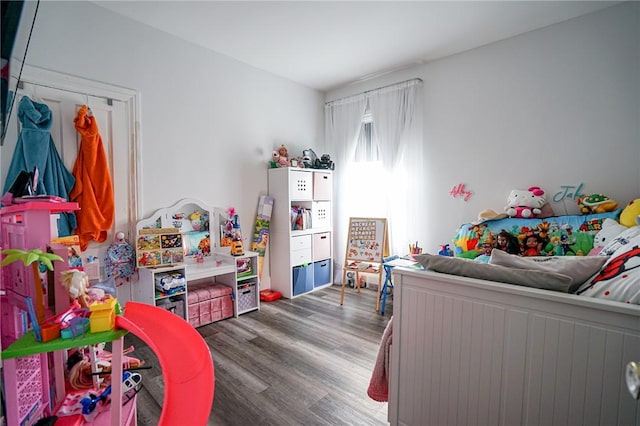 playroom featuring wood finished floors