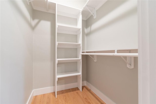 spacious closet featuring wood finished floors