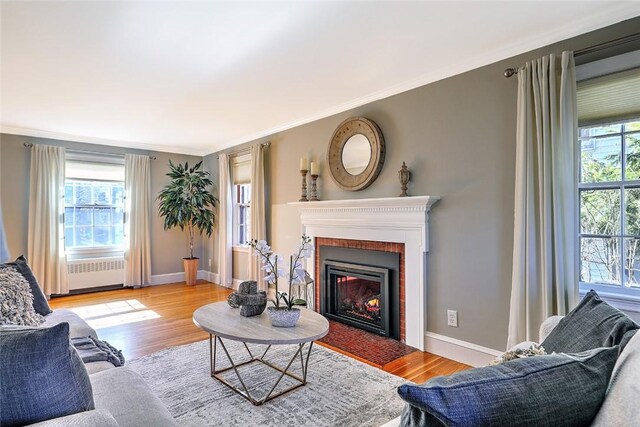 living room featuring ornamental molding, a fireplace, baseboards, and wood finished floors