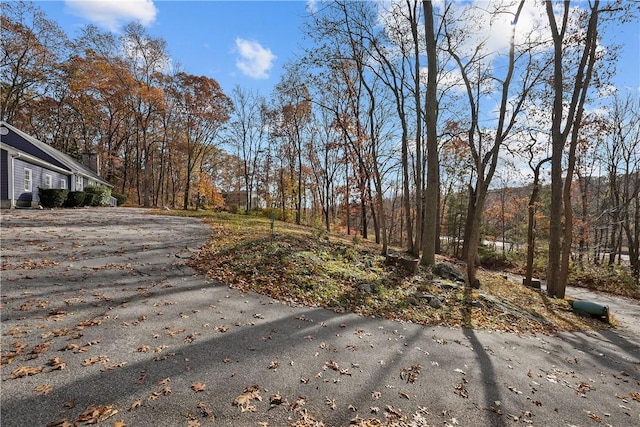 view of street featuring driveway