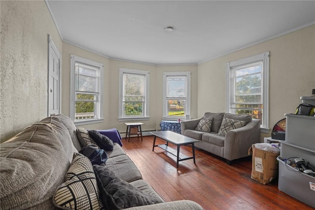 living room featuring a baseboard radiator, hardwood / wood-style flooring, and crown molding