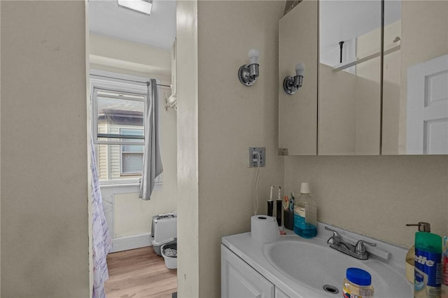 bathroom featuring wood finished floors and vanity