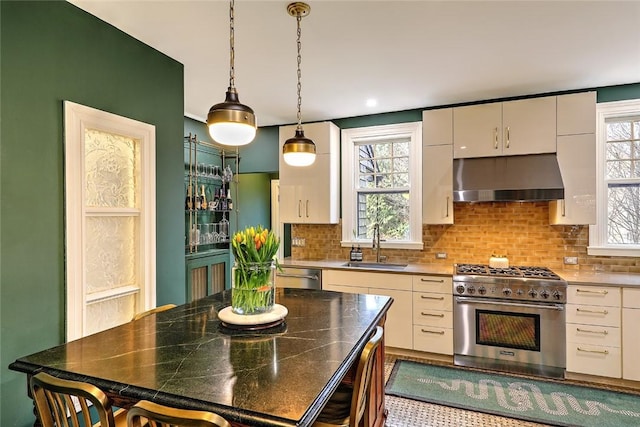 kitchen with stainless steel appliances, a sink, under cabinet range hood, and decorative backsplash