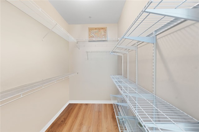 walk in closet with wood finished floors