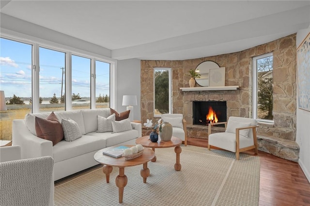 living room featuring wood finished floors and a fireplace