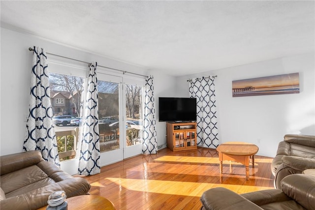 living room featuring french doors, wood-type flooring, and a wealth of natural light