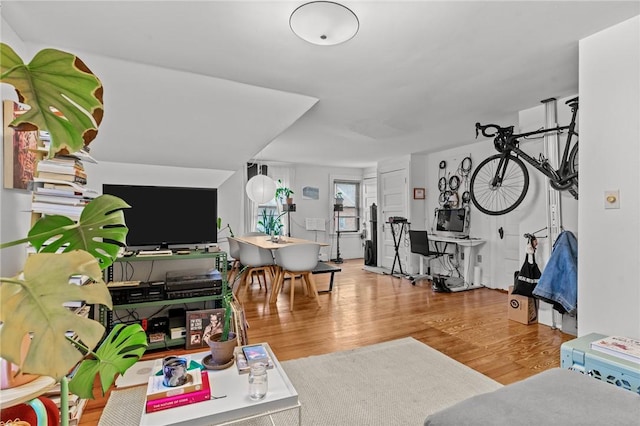 living area featuring wood finished floors