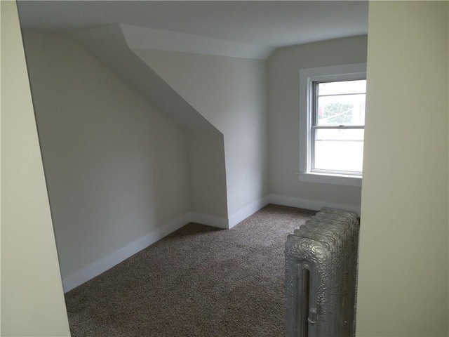 additional living space with carpet floors, lofted ceiling, and baseboards