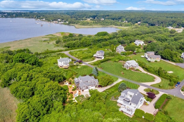 aerial view with a water view and a view of trees