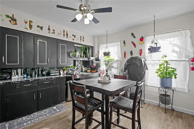 kitchen featuring ceiling fan, light wood-type flooring, and dark cabinets