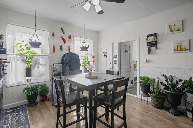 dining room featuring ceiling fan and wood finished floors