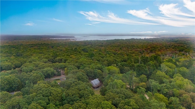 drone / aerial view featuring a water view and a forest view