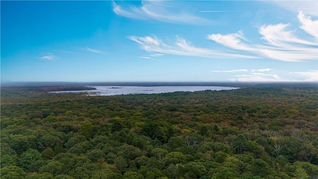 birds eye view of property with a water view and a view of trees