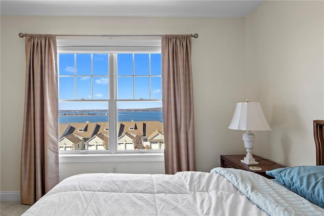 bedroom featuring multiple windows and baseboards