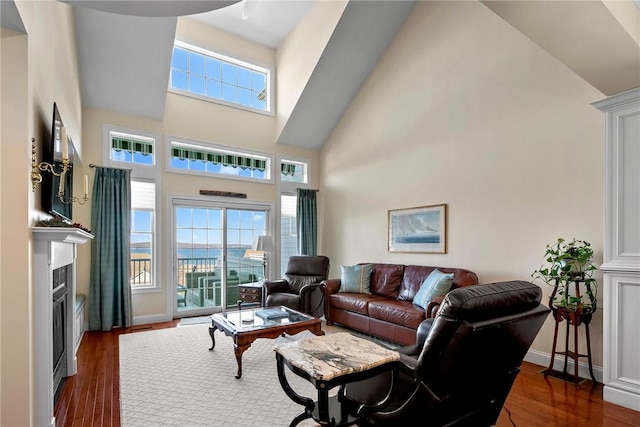 living area with dark wood-style floors, a wealth of natural light, a fireplace, and baseboards