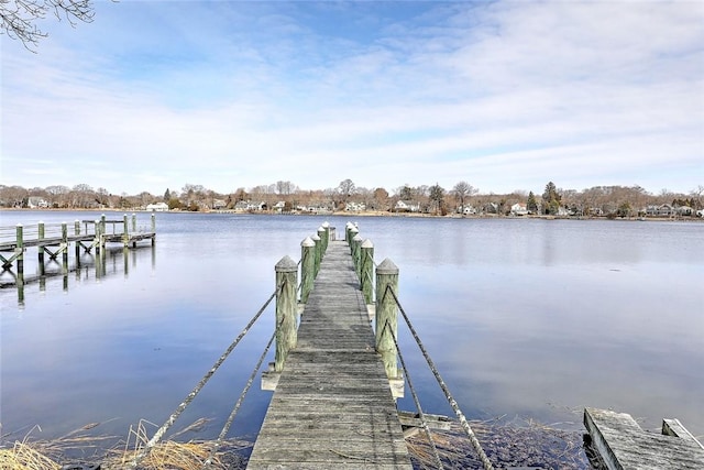 dock area with a water view