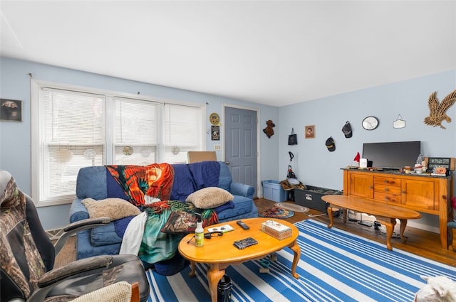 living room featuring wood finished floors