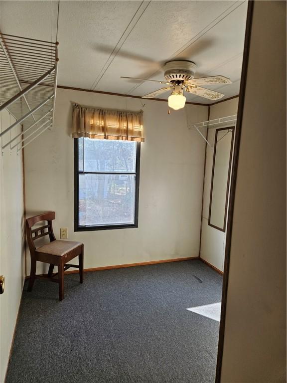 empty room with a textured ceiling, carpet, a ceiling fan, and baseboards