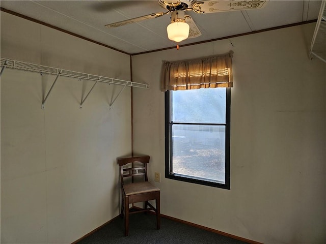 interior space featuring carpet floors and a ceiling fan