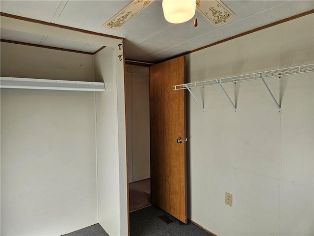 spacious closet featuring carpet