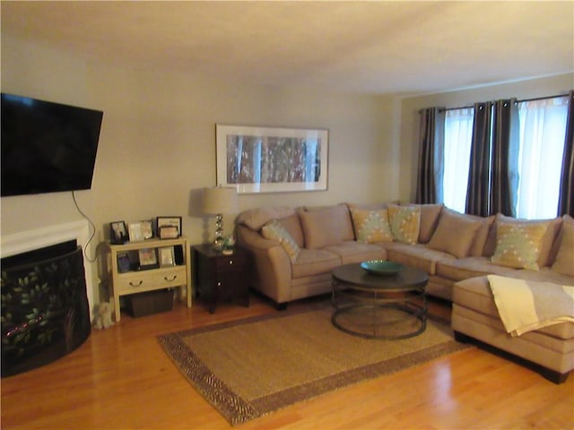 living area with a fireplace and wood finished floors